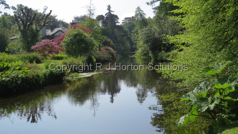 Mount Usher - B